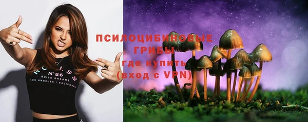 СК Балахна